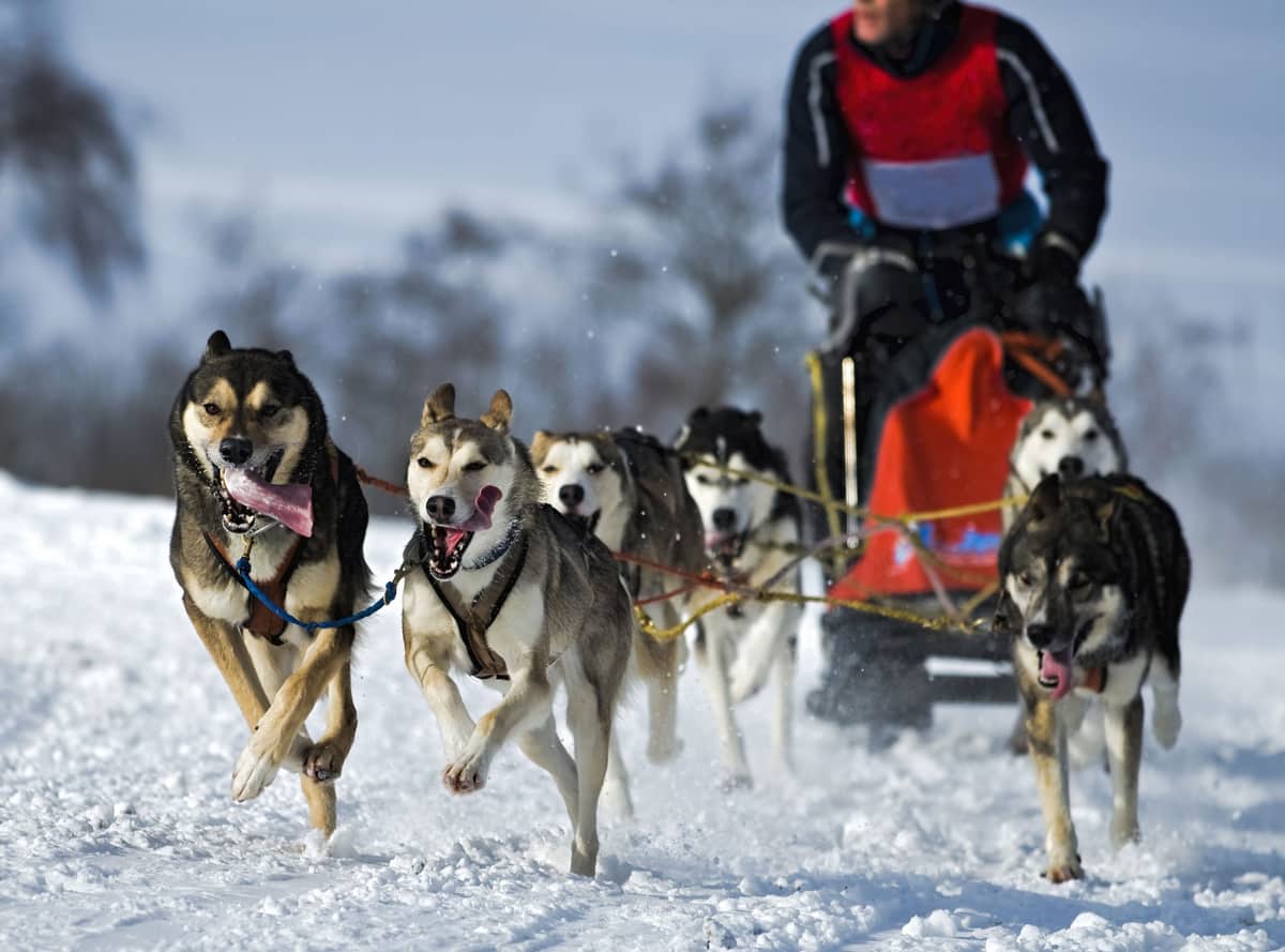 Rallye 8000 Nordkap, Lappland